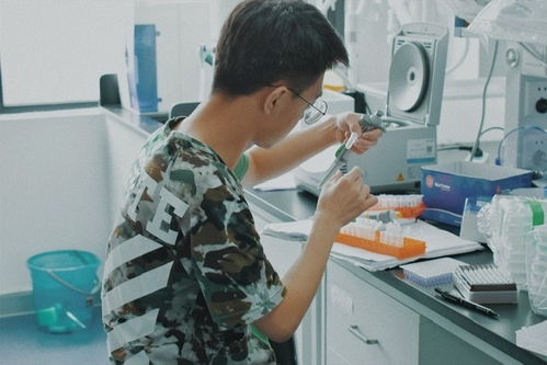 大学生教员 上海家教 家教114